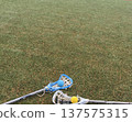Lacrosse 137575315