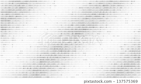 Systemic Data Matrix - Full Frame Binary Code Distribution in Grayscale Systemic Data Matrix - Full Frame Binary Code Distribution in Grayscale 137575369