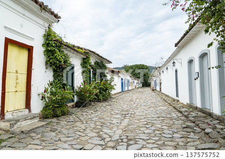 Cobblestone street with colourful colonial houses and traditional architecture 137575752