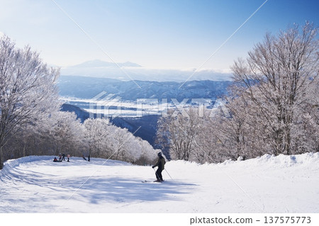 Nozawa Onsen Ski Resort in winter: Skyline course surrounded by frost-covered trees Nozawa Onsen Ski Resort in winter: Skyline course surrounded by frost-covered trees 137575773