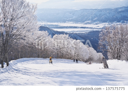Nozawa Onsen Ski Resort in winter: Skyline course surrounded by frost-covered trees Nozawa Onsen Ski Resort in winter: Skyline course surrounded by frost-covered trees 137575775