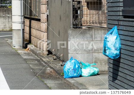 垃圾收集日：一般可燃垃圾 137576049