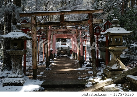 冬季,白雪覆蓋的鳥居沿著神社的道路排列。 冬季,白雪覆蓋的鳥居沿著神社的道路排列。 137576150
