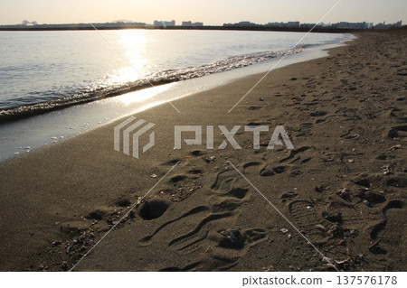 葛西臨海公園海灘 137576178