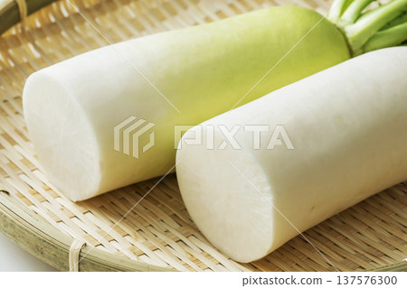 Daikon Daikon Daikon Daikon 137576300