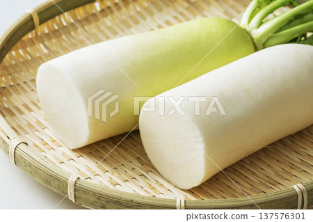 Daikon Daikon Daikon Daikon 137576301