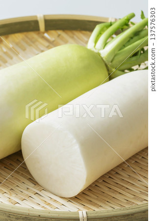 Daikon Daikon Daikon Daikon 137576303