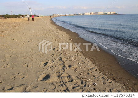 Kasai Rinkai Park Beach Seaside 137576334