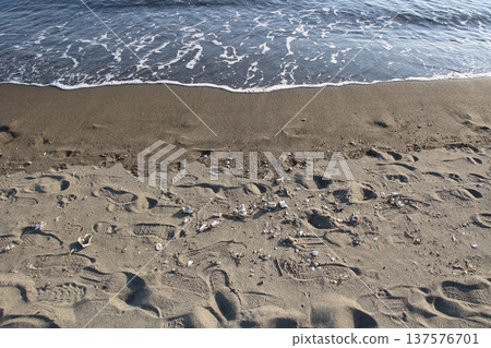 Kasai Rinkai Park Beach Seaside Kasai Rinkai Park Beach Seaside 137576701