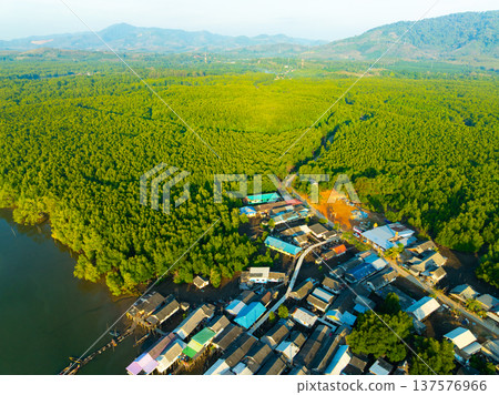 Aerial view green forest nature background,High angle view in Thailand Aerial view green forest nature background,High angle view in Thailand 137576966