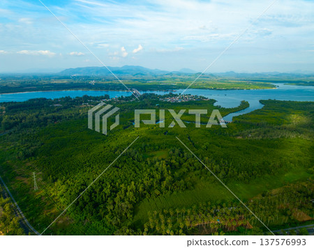 Aerial view green forest nature background,High angle view in Thailand Aerial view green forest nature background,High angle view in Thailand 137576993