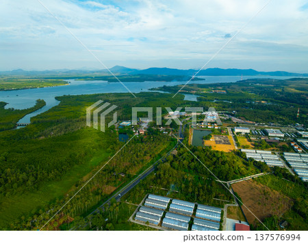 Aerial view green forest nature background,High angle view in Thailand Aerial view green forest nature background,High angle view in Thailand 137576994