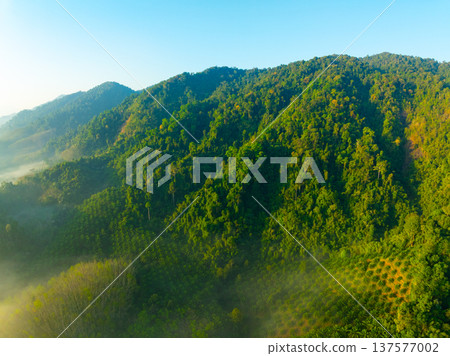 Aerial view of flowing fog waves on mountain tropical rainforest,Bird eye view image over the clouds Amazing nature background with clouds and mountain peaks in Thailand Aerial view of flowing fog waves on mountain tropical rainforest,Bird eye view image over the clouds Amazing nature background with clouds and mountain peaks in Thailand 137577002