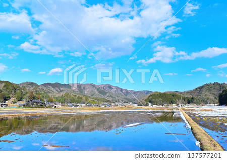早春時節的鄉村景色，天空湛藍清澈。 137577201