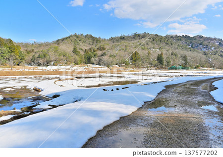Snow melting in the countryside 137577202