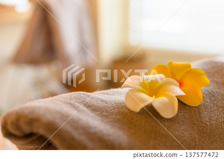 毛巾和雞蛋花 137577472