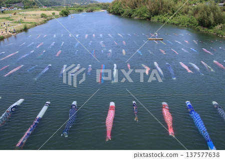 游泳在河的鯉魚飄帶 游泳在河的鯉魚飄帶 137577638