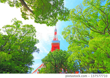 從東京港區紅葉谷眺望的東京鐵塔 從東京港區紅葉谷眺望的東京鐵塔 137577710