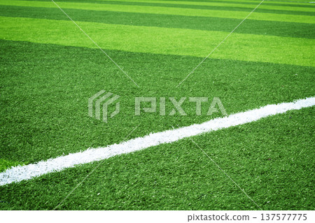 Soccer field 137577775