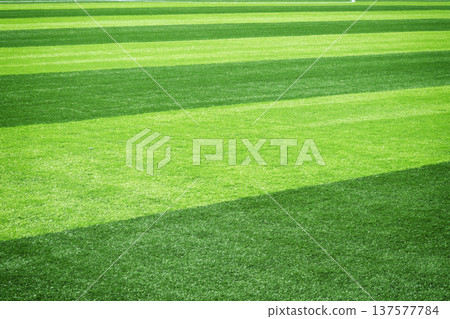 football, soccer, grass 137577784