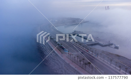 Misty coastal scene with palm-lined road and docks, atmospheric fog over water, serene and mysterious seascape. This image is perfect for travel, nature 137577790