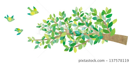 樹枝和鳥的卡通 樹枝和鳥的卡通 137578119