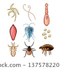 Various human and animal parasites, pests, and internal worms 137578220