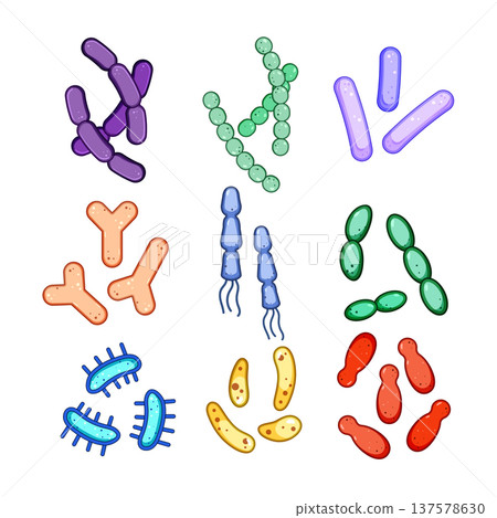 Different types of probiotic bacteria and microorganism set 137578630
