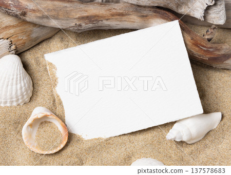 Mockup of blank card on beige sand with seashells, template for beach wedding and event graphics Mockup of blank card on beige sand with seashells, template for beach wedding and event graphics 137578683