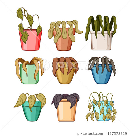 Various dying potted plants indicating neglect and poor care 137578829
