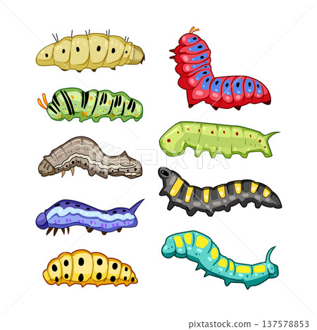 Colorful cartoon caterpillars graphic set illustrating insect life Colorful cartoon caterpillars graphic set illustrating insect life 137578853