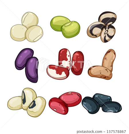 Various beans collection showing diverse legumes types 137578867