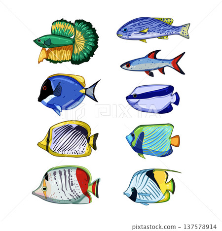 exotic fish set cartoon vector illustration exotic fish set cartoon vector illustration 137578914