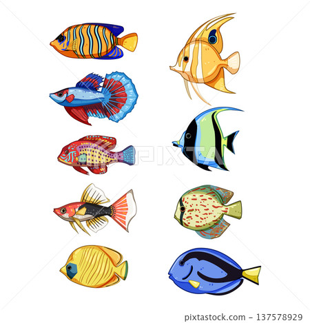 decorative fish set cartoon vector illustration 137578929