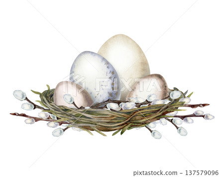 Natural watercolor bird eggs in a woven nest with pussy willow branches. Rustic spring composition symbolizing new life and Easter celebration for greeting cards, invitations 137579096
