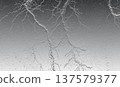 Abstract silver metallic texture with cracking pattern 137579377