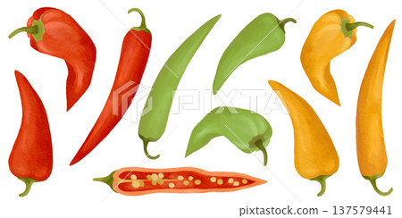 Hand-drawn watercolor fresh peppers collection, chili, ramiro and jalapeno pepper detailed illustrations Hand-drawn watercolor fresh peppers collection, chili, ramiro and jalapeno pepper detailed illustrations 137579441
