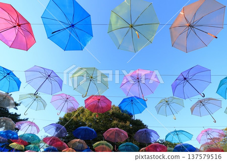 Colorful vinyl umbrellas hanging in the sky Colorful umbrellas Colorful vinyl umbrellas hanging in the sky Colorful umbrellas 137579516