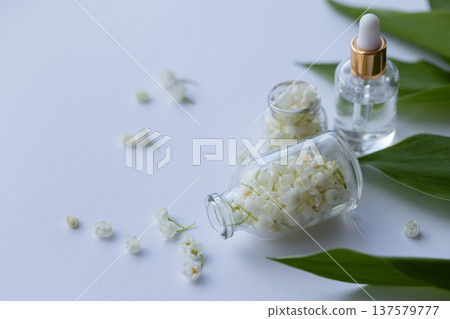 Glass bottle of lily of the valley essential oil with fresh flowers Glass bottle of lily of the valley essential oil with fresh flowers 137579777
