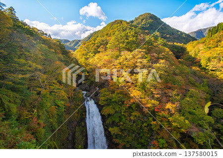 宮城縣仙台市:秋葉覆蓋的山脈景色壯麗,秋宇瀑布氣勢磅礡。 宮城縣仙台市:秋葉覆蓋的山脈景色壯麗,秋宇瀑布氣勢磅礡。 137580015