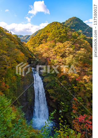 宮城縣仙台市:秋葉覆蓋的山脈景色壯麗,秋宇瀑布氣勢磅礡。 宮城縣仙台市:秋葉覆蓋的山脈景色壯麗,秋宇瀑布氣勢磅礡。 137580017