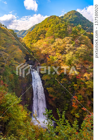 Sendai City, Miyagi Prefecture: A spectacular view of the mountains covered in autumn leaves and the dynamic cascade of Akiu Falls 137580020