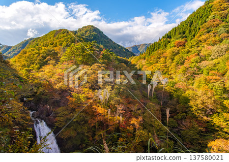 Sendai City, Miyagi Prefecture: A majestic mountain range enveloping the valley and Akiu Falls in early autumn Sendai City, Miyagi Prefecture: A majestic mountain range enveloping the valley and Akiu Falls in early autumn 137580021