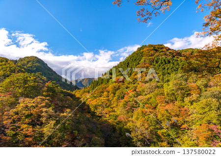 A view of the autumn foliage of the valley and the majestic mountain ranges from Takimidai in Akiu, Sendai City, Miyagi Prefecture 137580022