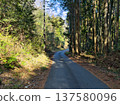 A rough forest road leading deep into the mountains 137580096