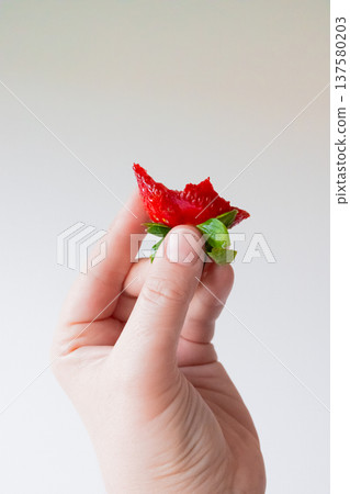 Close up of hand holding a partially eaten strawberry against a plain background Close up of hand holding a partially eaten strawberry against a plain background 137580203