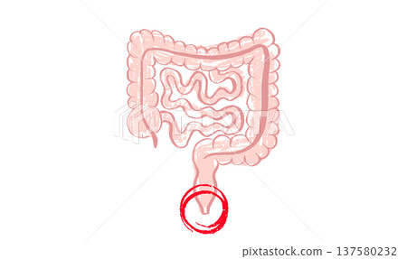 Human Organs Sketch 137580232
