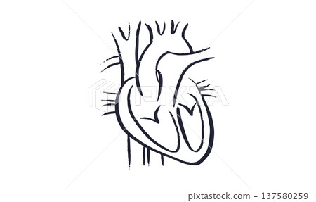 Human heart icon 137580259