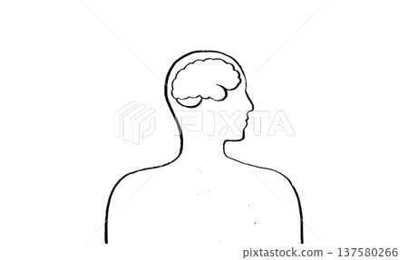 Human brain structure Human brain structure 137580266