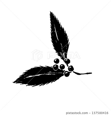 南天竹葉和果實的單色剪影 南天竹葉和果實的單色剪影 137580416